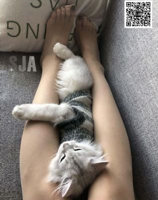 一起起草永久网名_蓝光免费观看超清