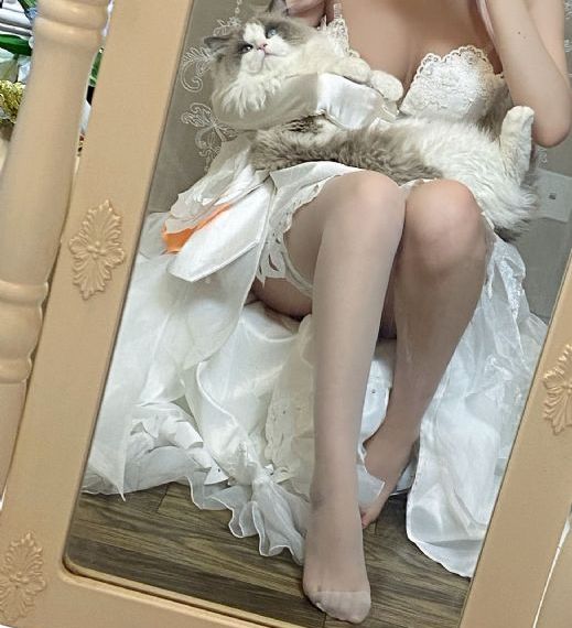 黑暗的反射电影完整版免费观看_续集欧美成人在线